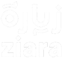 زيارة